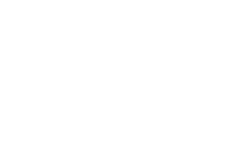 notion-white