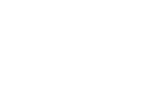 wordpress-white